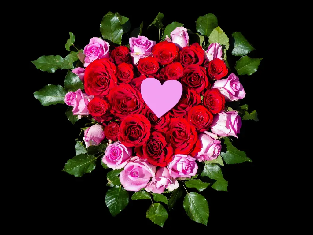 Condolence image of Für all meine Sternchen ♥️