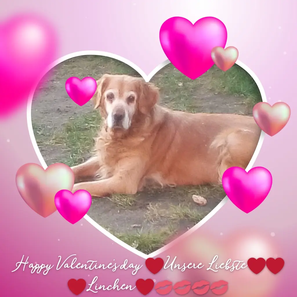 Condolence image of ❤️❤️❤️Linchen❤️❤️❤️