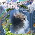 Condolence image of Tanja mit Timmy im Herzen