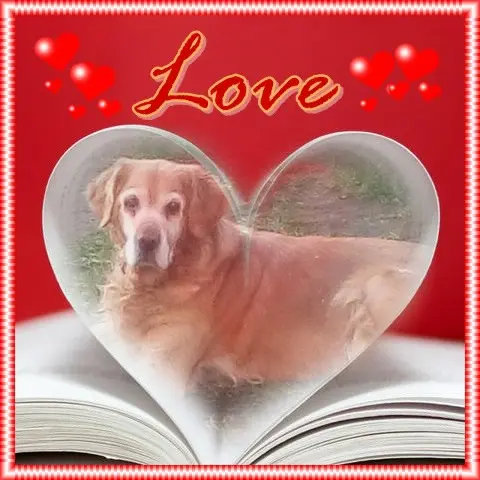 Condolence image of 1.Sternchen❤️Gedenktag❤️