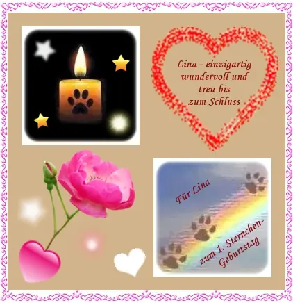 Condolence image of Ilse mit Tier-Sternlein Maja, Jule, Gismo, Fee und Minna im Herzen