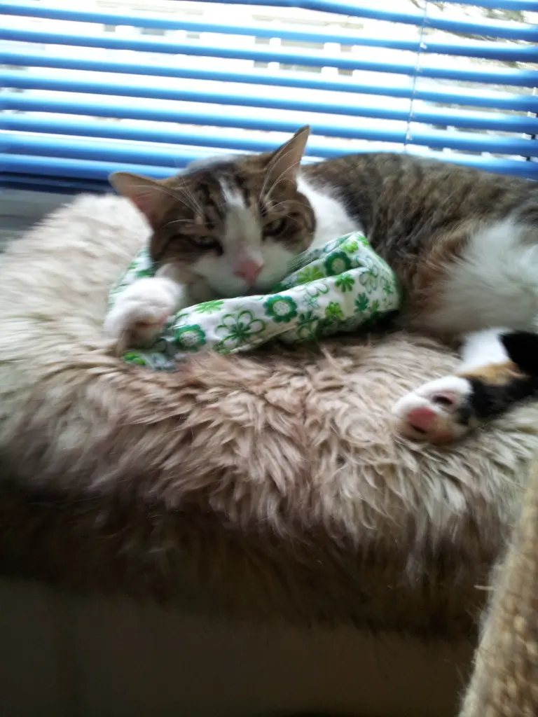Condolence image of Tanja mit Timmy im Herzen