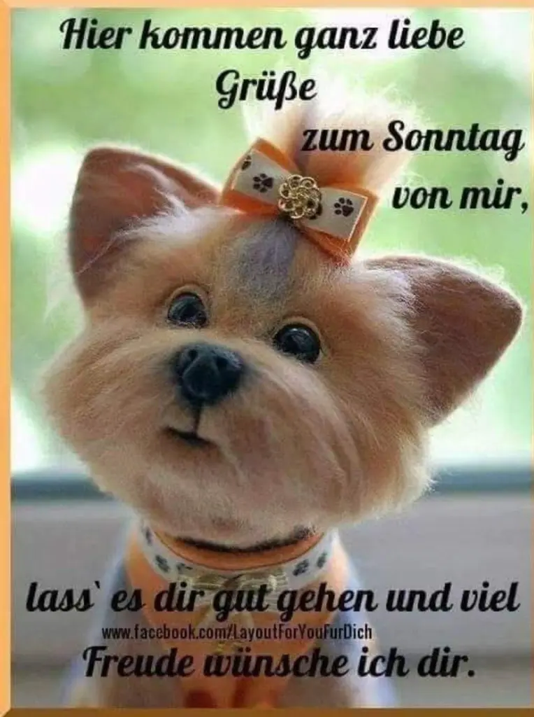 Condolence image of Sabine mit Kaspar tief im Herzen