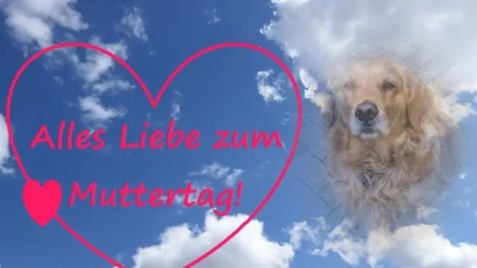 Condolence image of ❤️MUTTI❤️