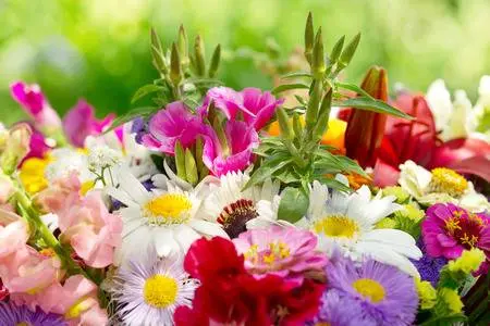 Condolence image of Mama ♥️
