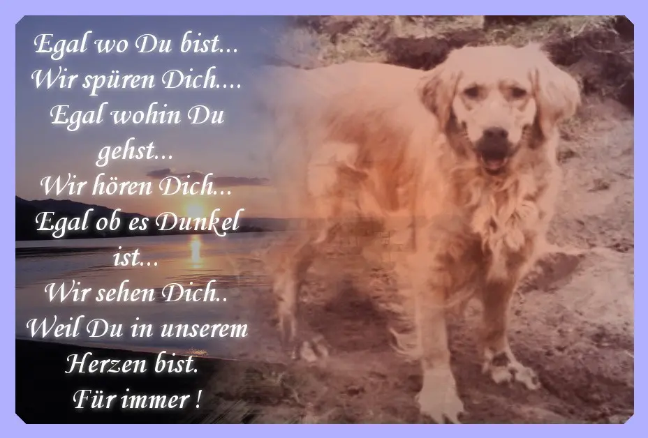 Condolence image of Sabine mit Kaspar tief im Herzen