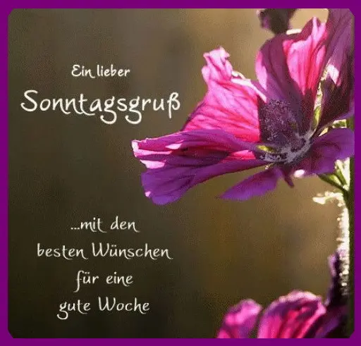 Condolence image of Unbekannt