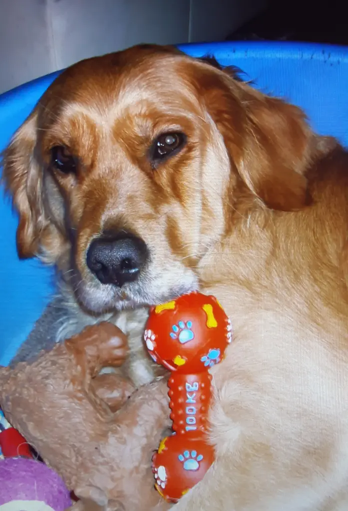 Condolence image of Deiner Mama in ewiger Liebe zu dir mein Mädchen ♥️