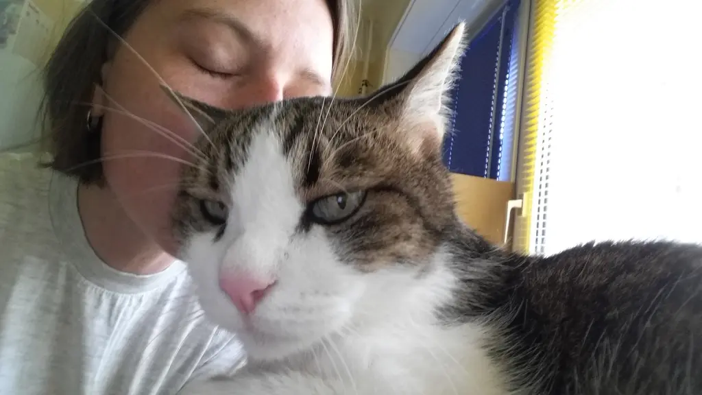 Condolence image of Tanja mit Timmy im Herzen