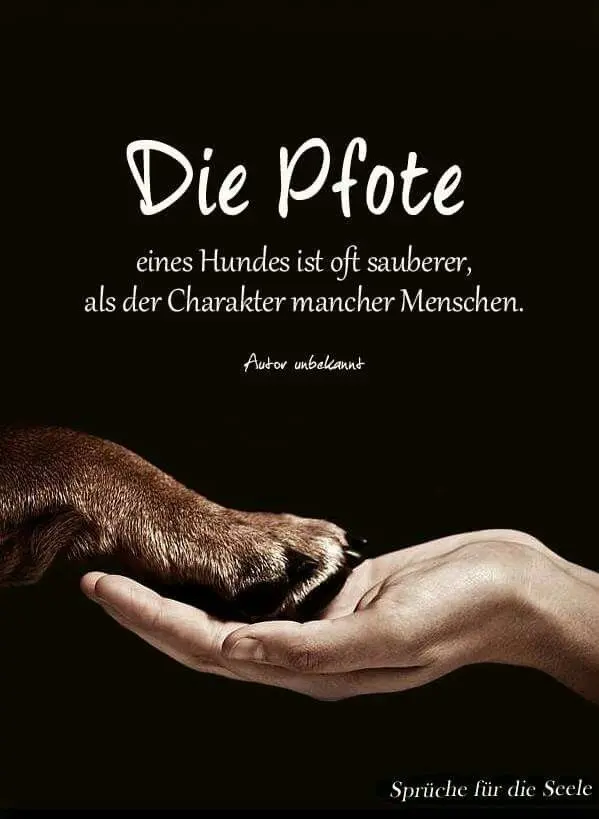 Condolence image of Tanja mit Timmy im Herzen 