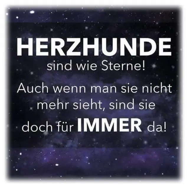 Condolence image of Unbekannt
