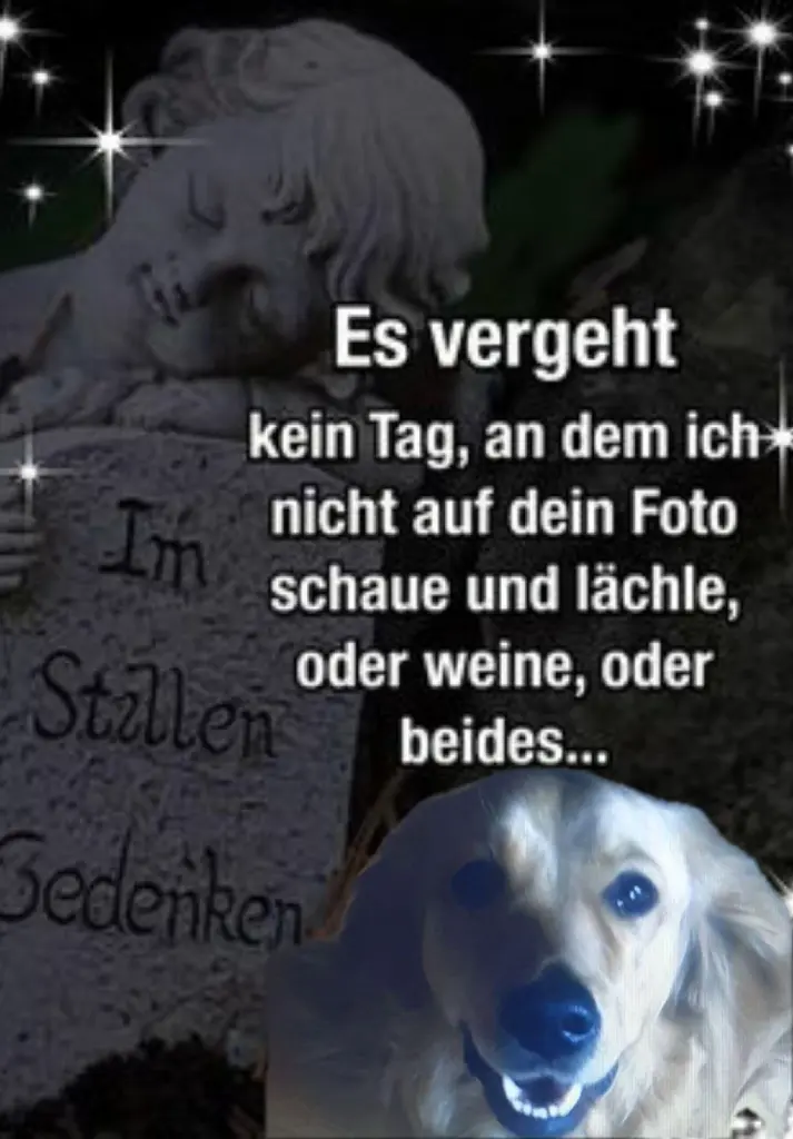 Condolence image of Gute Nacht mein Mädchen ❤️