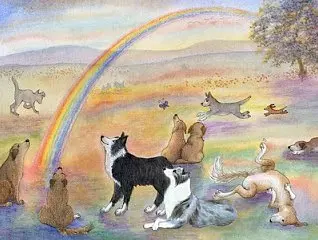 Condolence image of Tanja mit Timmy im Herzen