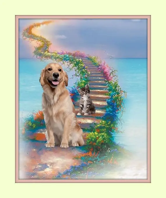 Condolence image of Tanja mit Timmy im Herzen
