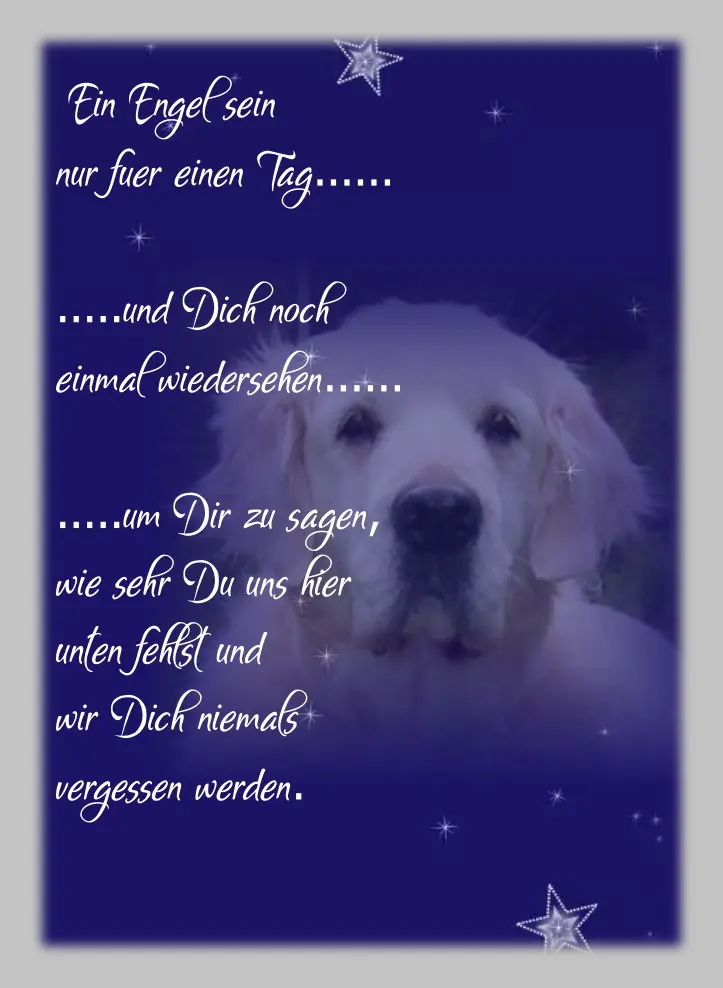 Condolence image of Sabine mit Kaspar tief im Herzen