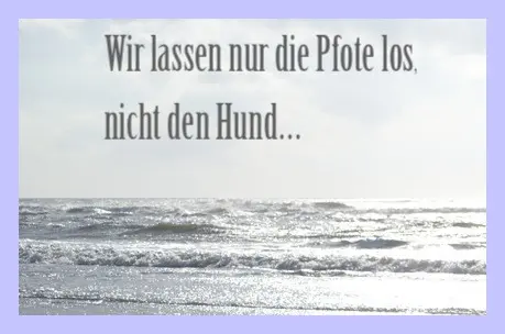 Condolence image of Sabine mit Kaspar tief im Herzen
