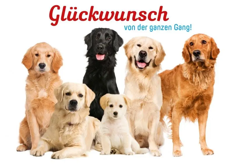 Condolence image of Rosen für Lina zum 15. Geburtstag