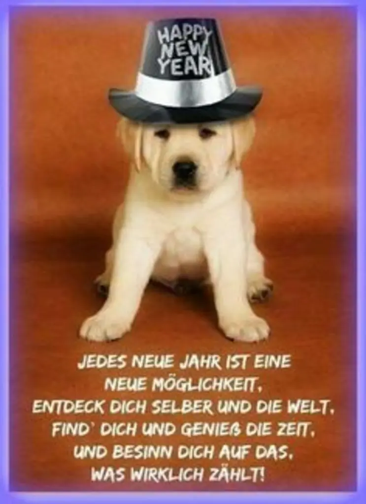 Condolence image of Tanja mit Timmy im Herzen
