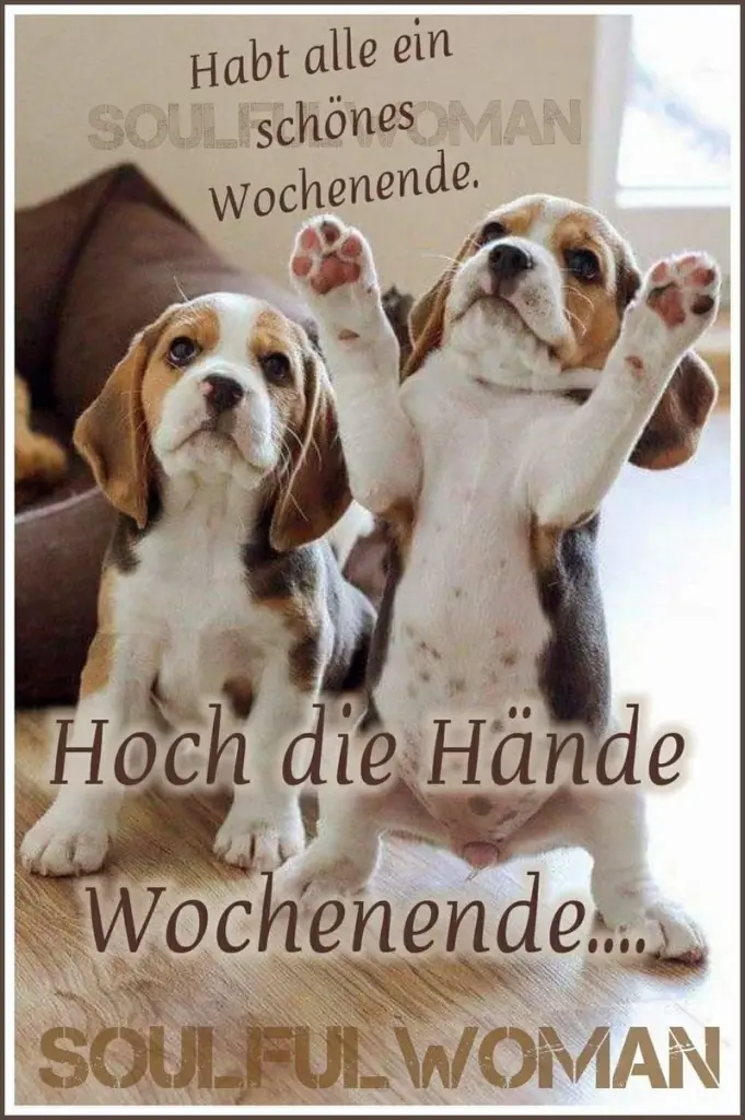 Condolence image of Tanja mit Timmy im Herzen