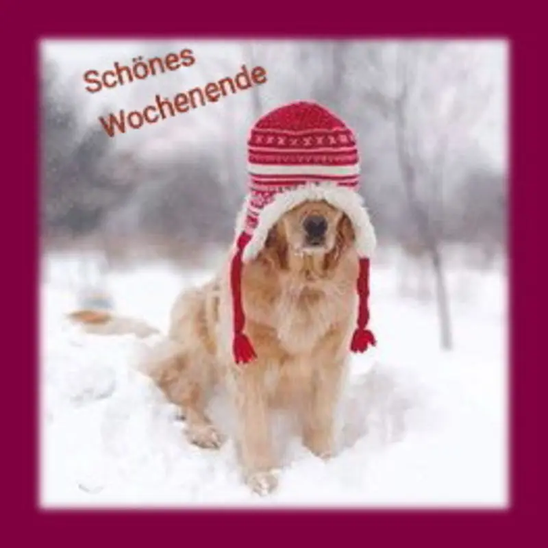 Condolence image of Sabine mit Kaspar tief im Herzen