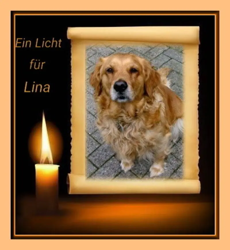 Condolence image of Sabine mit Kaspar tief im Herzen