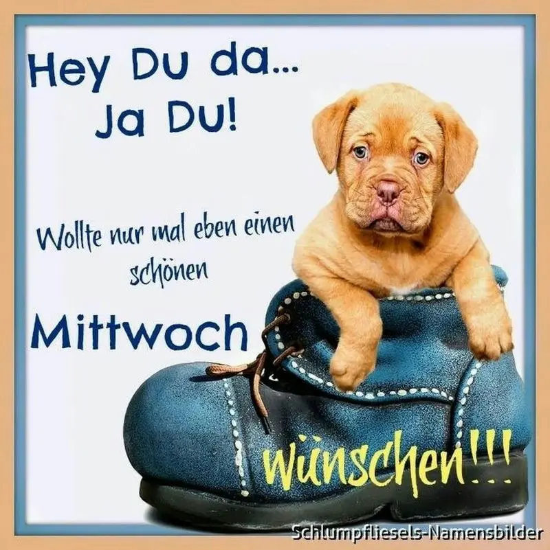Condolence image of Tanja mit Timmy im Herzen 