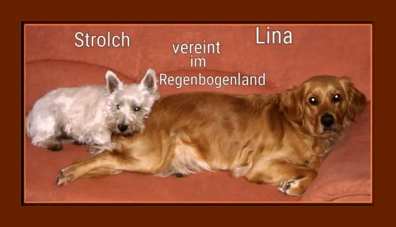 Condolence image of Sabine mit Kaspar tief im Herzen