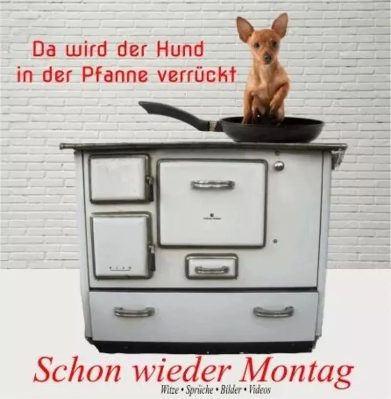 Condolence image of Tanja mit Timmy im Herzen