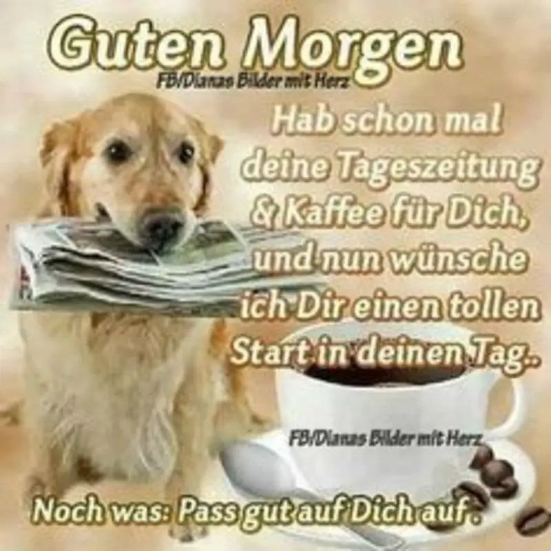 Condolence image of Tanja mit Timmy im Herzen