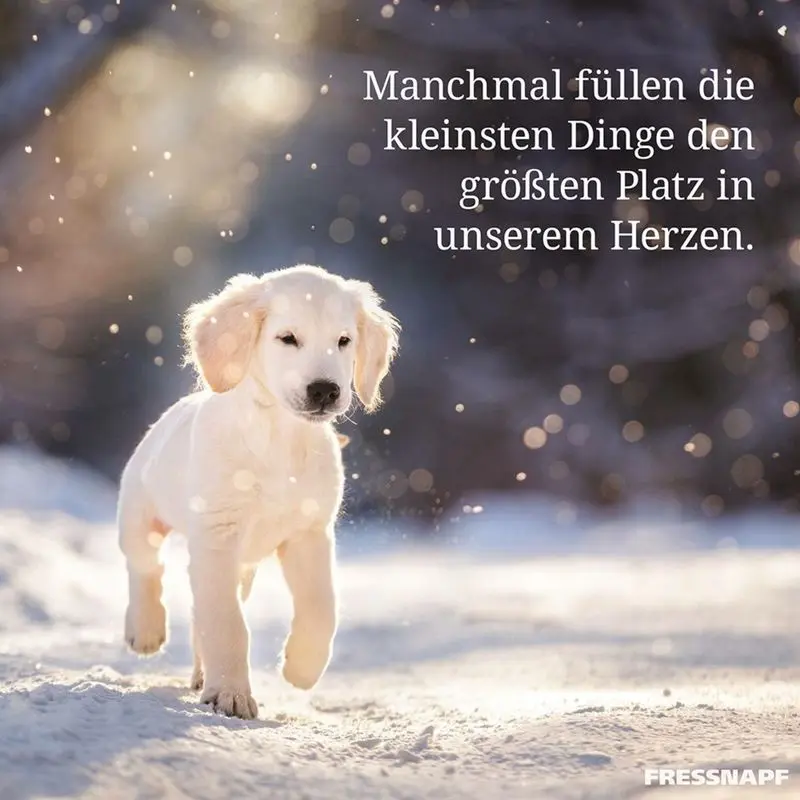 Condolence image of Jutta mit Flash