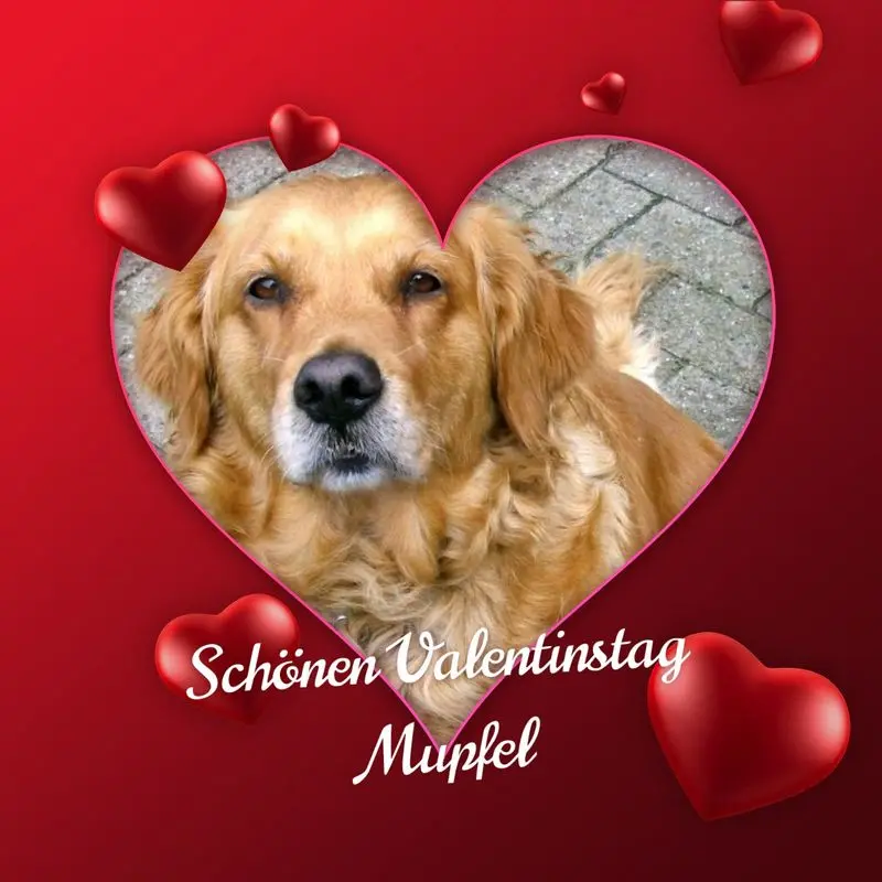 Condolence image of Sabine mit Kaspar tief im Herzen