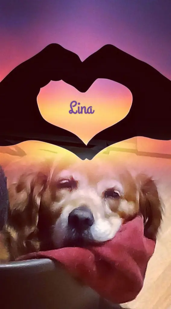 Condolence image of Ellen mit Lina ❤️