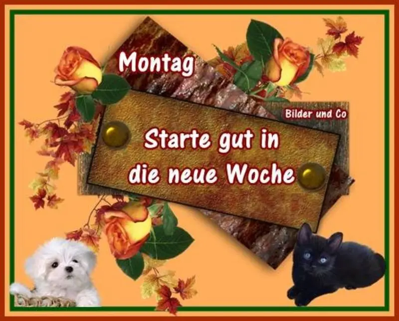 Condolence image of Tanja mit Timmy im Herzen