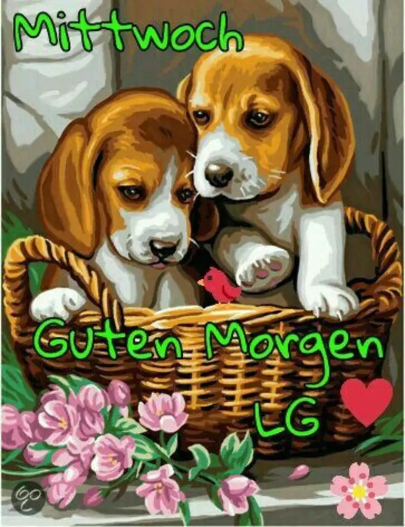 Condolence image of Tanja mit Timmy im Herzen