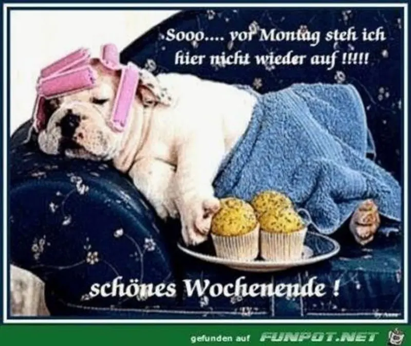 Condolence image of Tanja mit Timmy im Herzen