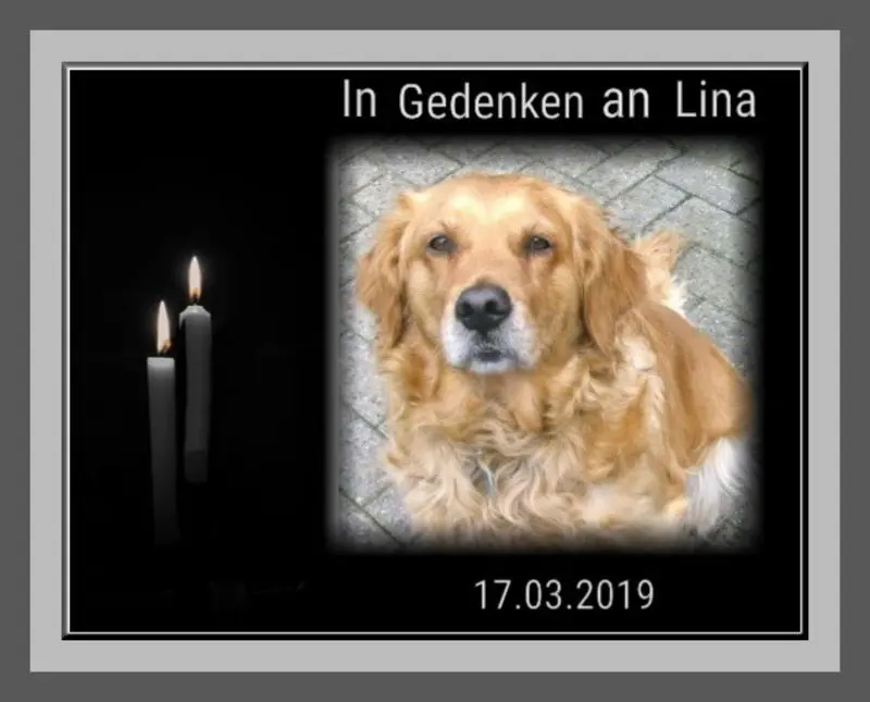Condolence image of Sabine mit Kaspar tief im Herzen