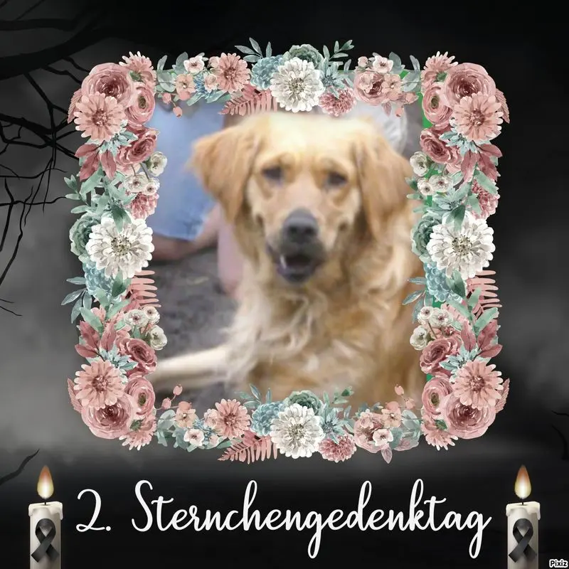 Condolence image of Jutta mit Purzel tief im Herzen✟08.05.2016