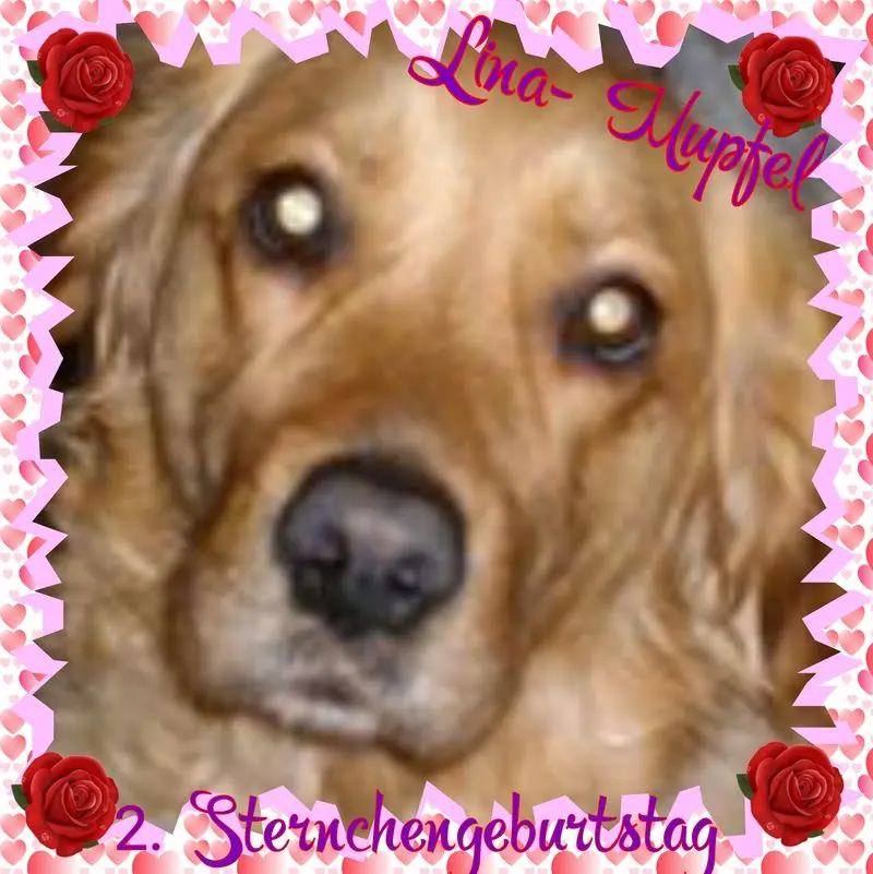 Condolence image of ❤Eike und Edeltraud mit unseren 7 Sternchen tief im Herzen ❤