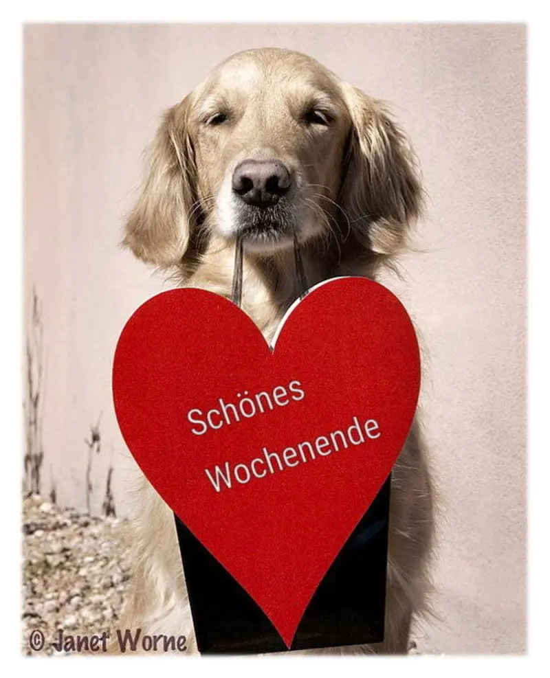 Condolence image of Sabine mit Kaspar tief im Herzen
