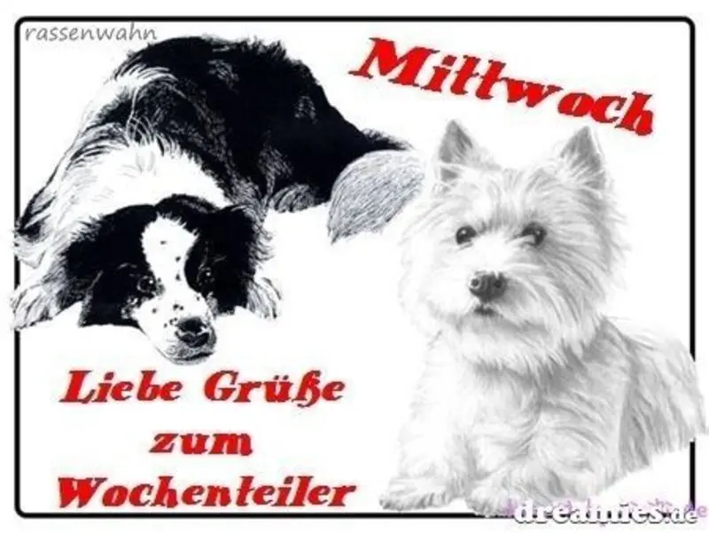 Condolence image of Tanja mit Timmy im Herzen
