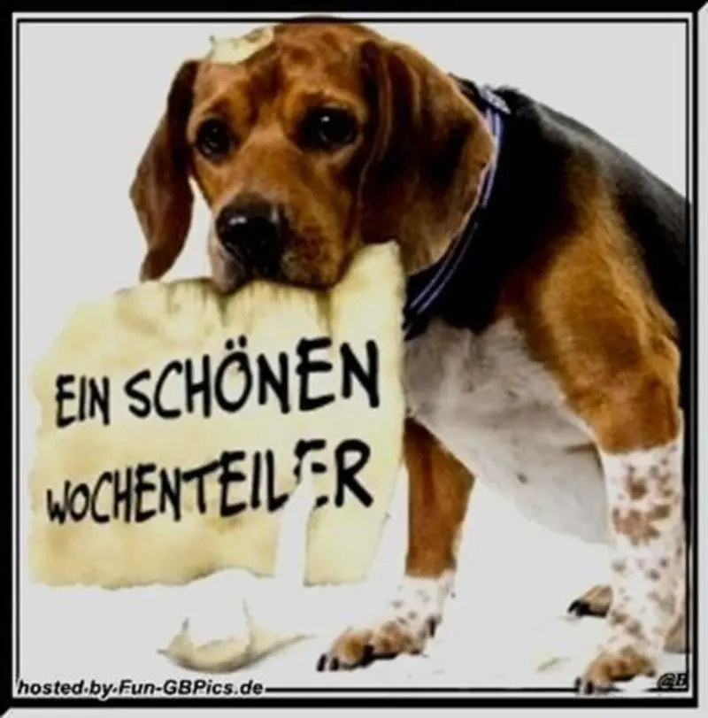 Condolence image of Tanja mit Timmy im Herzen 
