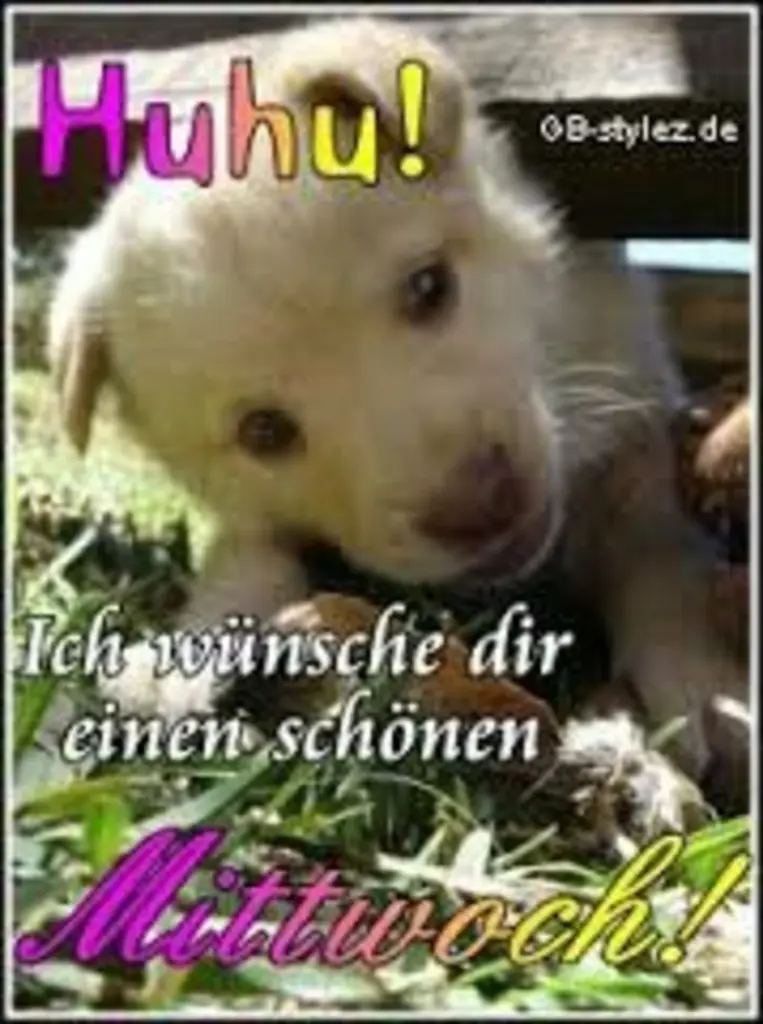 Condolence image of Tanja mit Timmy im Herzen