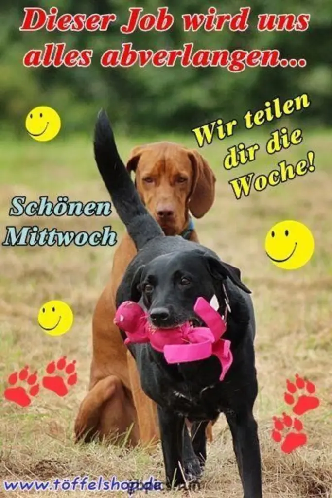 Condolence image of Tanja mit Timmy im Herzen