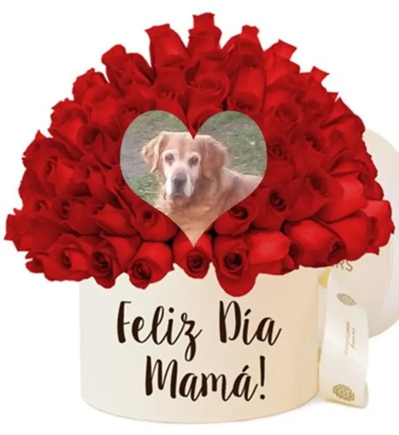 Condolence image of ❤️Mama❤️