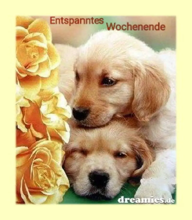 Condolence image of Unbekannt