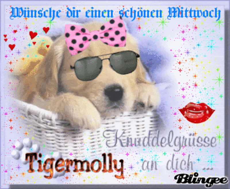 Condolence image of Tanja mit Timmy im Herzen