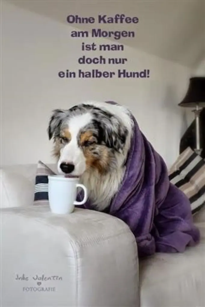 Condolence image of Tanja mit Timmy im Herzen 