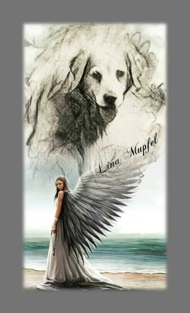 Condolence image of Sabine mit Kaspar tief im Herzen