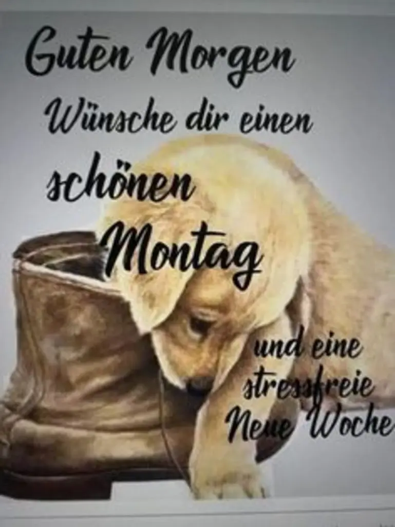 Condolence image of Tanja mit Timmy im Herzen