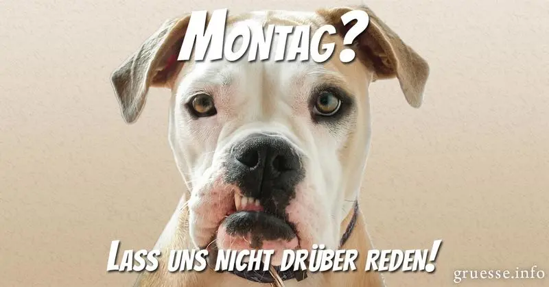 Condolence image of Tanja mit Timmy im Herzen